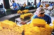 Cao su Việt Nam: Xuất khẩu khả quan